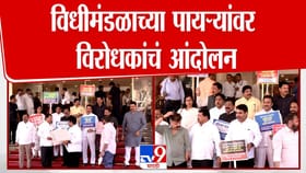 विधान भवनाच्या पायऱ्यांवर विरोधकांची जोरदार घोषणाबाजी अन् आंदोलन.