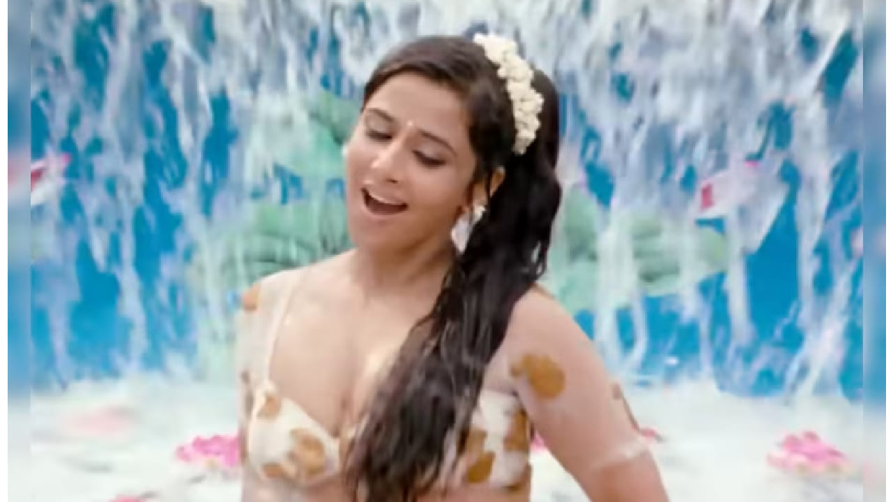 ‘द डर्टी पिक्चर’ हा चित्रपट अवघ्या 18 कोटी रुपयांच्या बजेटमध्ये तयार करण्यात आला होता. मात्र या चित्रपटाने जगभरात 117 कोटी रुपयांची कमाई करत बॉक्स ऑफिसवर प्रचंड यश मिळवलं. या यशामध्ये विद्या बालनच्या दमदार अभिनयाचा सिंहाचा वाटा होता.