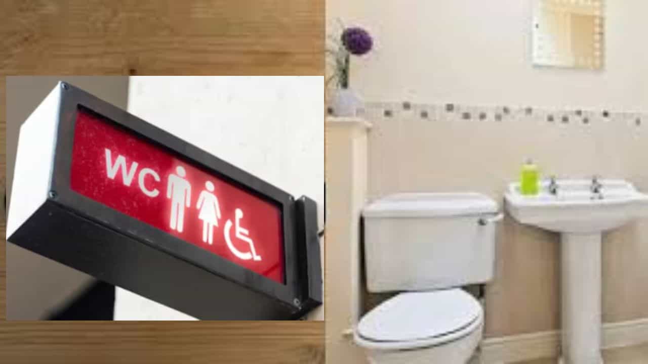 वॉशरूमवर लावलेल्या पाटीवर WC असं का लिहिलेलं असतं? अनेक जण करातात ही मोठी चूक