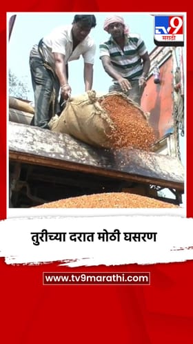 तुरीच्या दरात मोठी घसरण, शेतकरी चिंतेत.