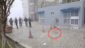 वी लव्ह कोरियन गेम्स! 3 बहिणींच्या आत्महत्येने खळबळ, डायरी सापडताच....