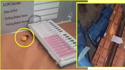 ZP Election:  सोलापूरात ईव्हीएम मशीनवरच जादूटोणा? तर कोल्हापूरात शिवसैनिकानं जागेवरच EVM मशीन फोडलं, एकच खळबळ