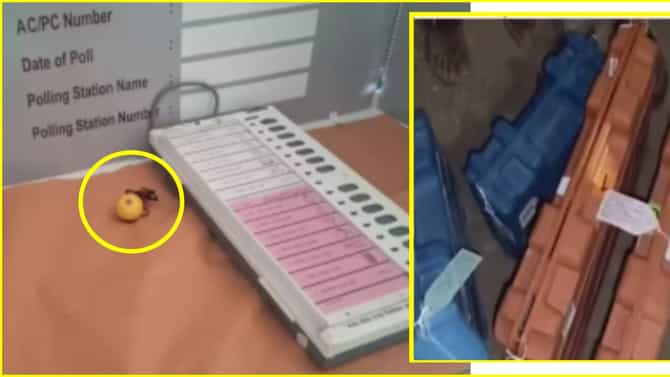 ZP Election: सोलापूरात ईव्हीएम मशीनवरच जादूटोणा? तर कोल्हापूरात शिवसैनिकानं जागेवरच EVM मशीन फोडलं, एकच खळबळ