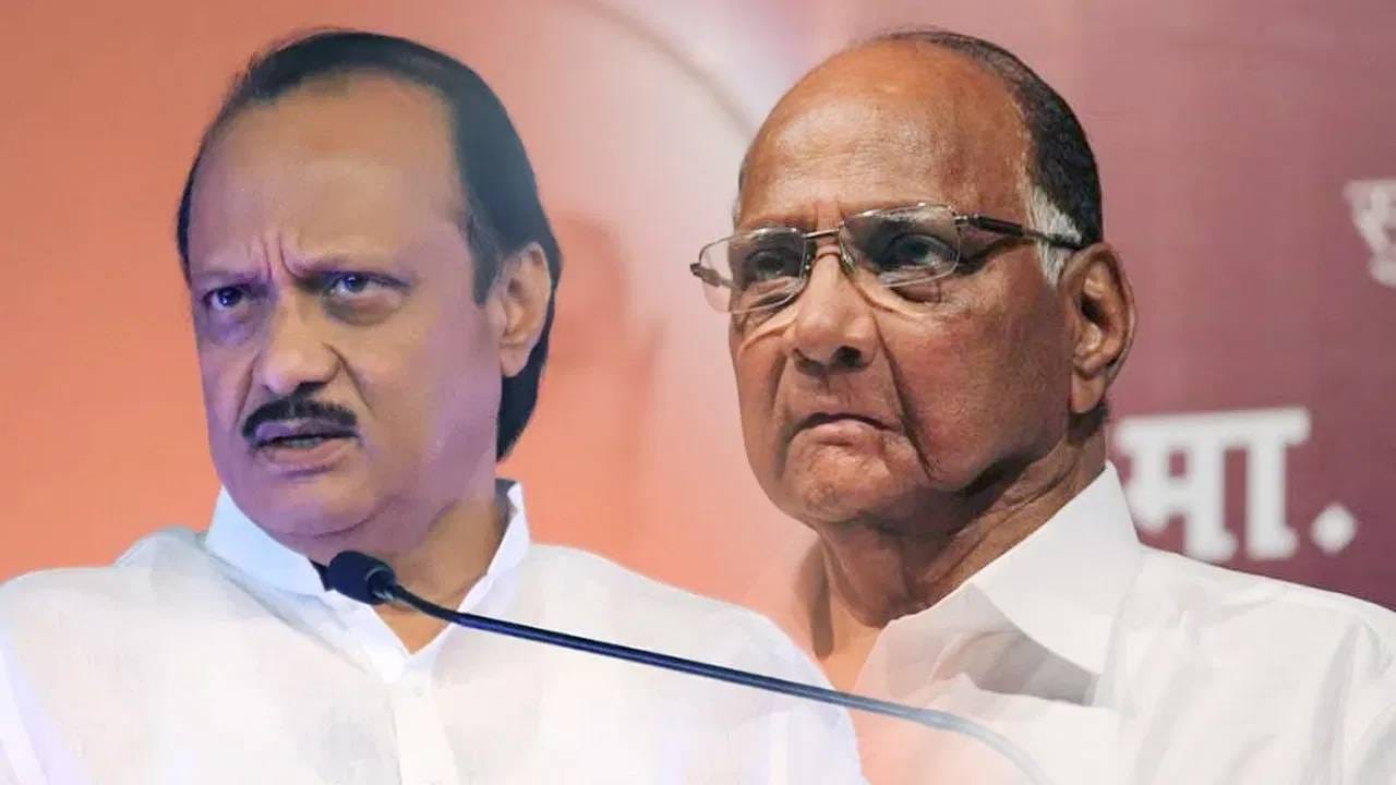 आता 12 दिवसांनी सगळं...दोन्ही राष्ट्रवादीच्या एकत्रीकरणावर बड्या नेत्याचं मोठं विधान; राजकारणात खळबळ! आता 12 दिवसांनी सगळं...दोन्ही राष्ट्रवादीच्या एकत्रीकरणावर बड्या नेत्याचं मोठं विधान; राजकारणात खळबळ!