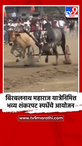 बिरबलनाथ महाराज यात्रेनिमित्त भव्य शंकरपट स्पर्धेचे आयोजन.