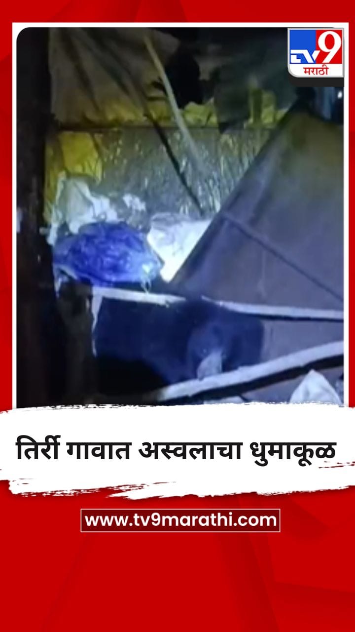 भंडारा जिल्ह्यातील तिर्री गावात अस्वलांचा धुमाकूळ, Video