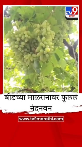 पाणी नाही म्हणून रडत बसला नाही, संकटावर मात करुन शेतकऱ्याने पिकवलं सोनं.