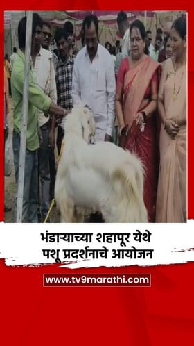 भंडाऱ्याच्या शहापूर येथे पशू प्रदर्शनाचे आयोजन.