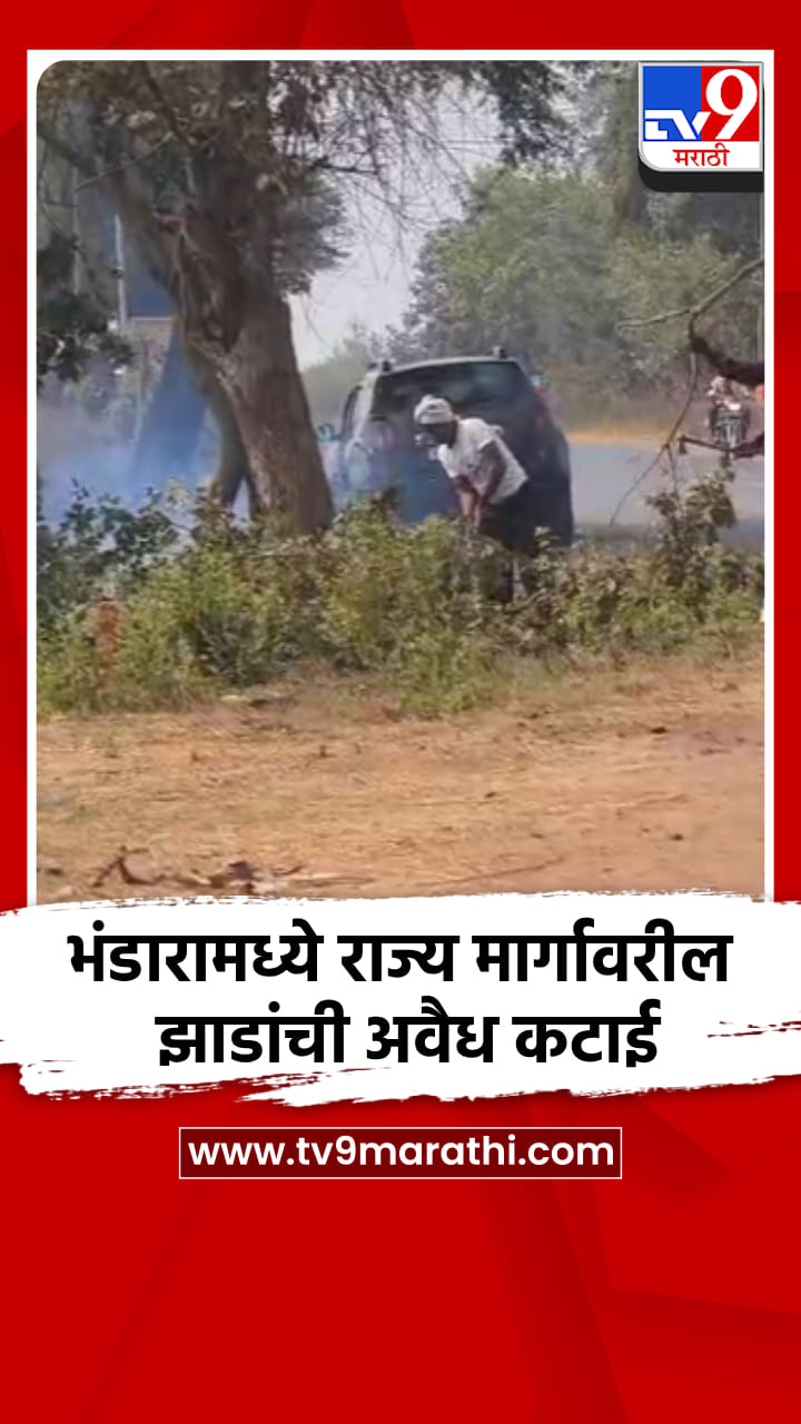 भंडारामध्ये राज्य मार्गावरील झाडांची अवैध तोड