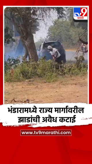 भंडारामध्ये राज्य मार्गावरील झाडांची अवैध तोड