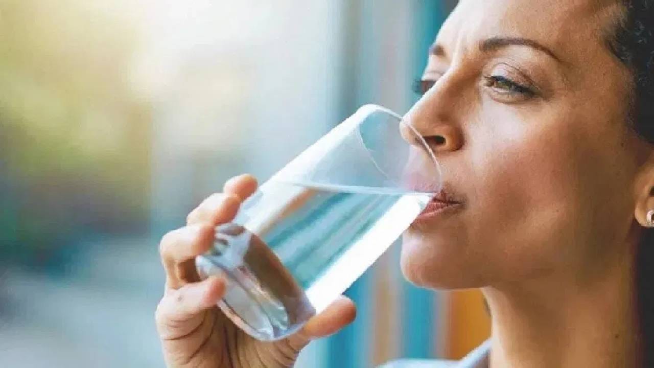 उन्हाळ्यात जर तुम्हाला आजारी पडायचे नसेल तर काही गोष्टींचा आहारात समावेश करा. ज्यामुळे आरोग्य समस्या दूर होण्यास मदत होते. उन्हाळ्यात पाणी जास्तीत जास्त प्या. 