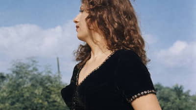 बॉलिवूडची सौंदर्य क्वीन, जिला पाहून कलाकार डायलॉग विसरायचे, हॉलिवूड चित्रपटाची ऑफर नाकारणारी ही अभिनेत्री कोण?