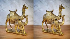 घरामध्ये उंटाची मूर्ती ठेवल्यामुळे काय होते? जाणून घ्या.