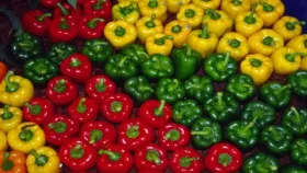 ढोबळी मिर्ची नर आहे की मादी कशी ओळखावी? वाचा Amazing Shopping Facts.