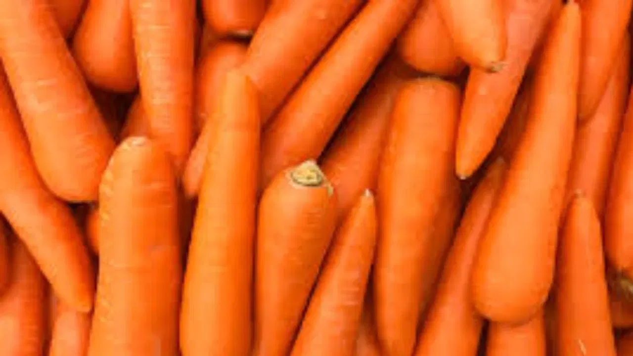 विटामिन A डोळ्यांसाठी अत्यंत आवश्यक असते आणि यामुळे नजर कमकुवत होण्याची समस्या कमी होते. म्हणूनच गाजरला डोळ्यांसाठी फायदेशीर मानले जाते. याशिवाय गाजर पचनसंस्था मजबूत करण्यातही महत्त्वाची भूमिका बजावते. यातील फायबर काब्जची समस्या दूर करते आणि पोट स्वच्छ ठेवण्यास मदत करते. जे लोक नेहमी गॅस, अपचन किंवा काब्जने त्रस्त असतात, त्यांच्यासाठी गाजरचे सेवन खूप फायदेशीर ठरू शकते.