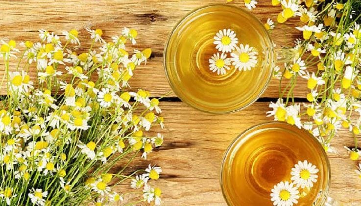 या चहामुळे पचनसंस्था सुधारते. तसेच पोटाची समस्याही दूर होते, असे सांगितले जाते. हा चहा नियमितपणे घेतला तर तुमच्या शरीरातील साखरेचे प्रमाण नियमंत्रित राहते असे सांगितले जाते.