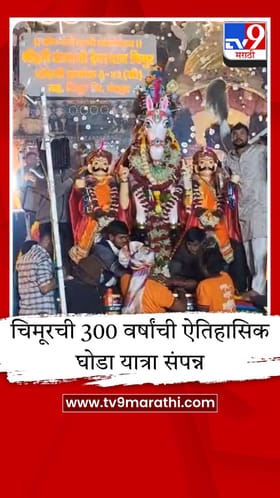 चिमूरची 300 वर्षांची ऐतिहासिक घोडा यात्रा संपन्न, हजारो भाविकांनी ओढला श्रीहरी बालाजीचा रथ.