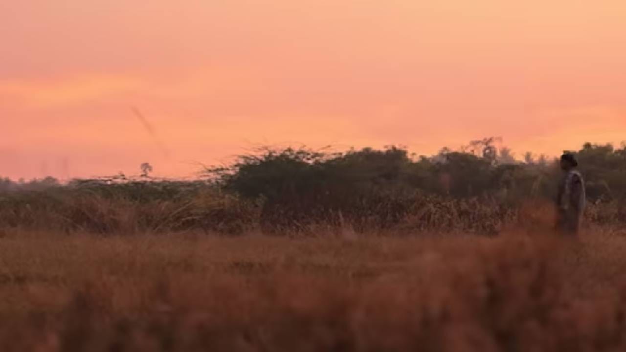 या कथेत थरार भावना आणि भय या सर्वांचा मेळ आहे जो प्रत्येक सीननुसार अस्वस्थता आणखी वाढवतो. उत्तम अभिनय आणि दमदार स्क्रीनप्ले यांच्या जोरावर चित्रपटाच्या कथेला आणखी ताकद मिळते. या चित्रपटाच्या कथेतील ट्विस्ट इतके मजबूत आहेत की मोठमोठे अॅक्शनपट आणि मसालापट यासमोर फिके वाटू लागतात. 
