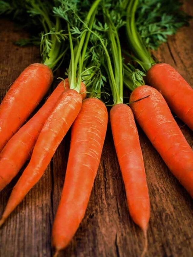 गाजर खाण्याचे नेमके काय फायदे होतात ?