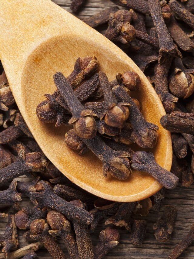 आरोग्यासाठी लवंग अत्यंत फायदेशीर… जाणून घ्या फायदे