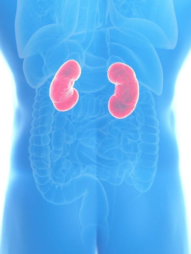 या घातक सवयी आजपासूनच सोडा अन्यथा किडनी होईल डॅमेज