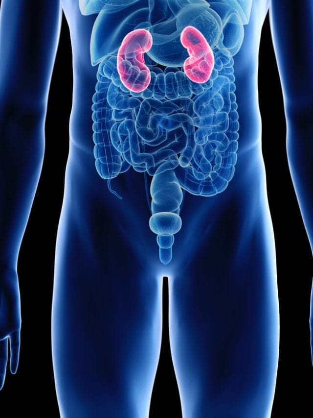 किडनी खराब झाली असेल तर सुरुवातीची लक्षणे काय ?