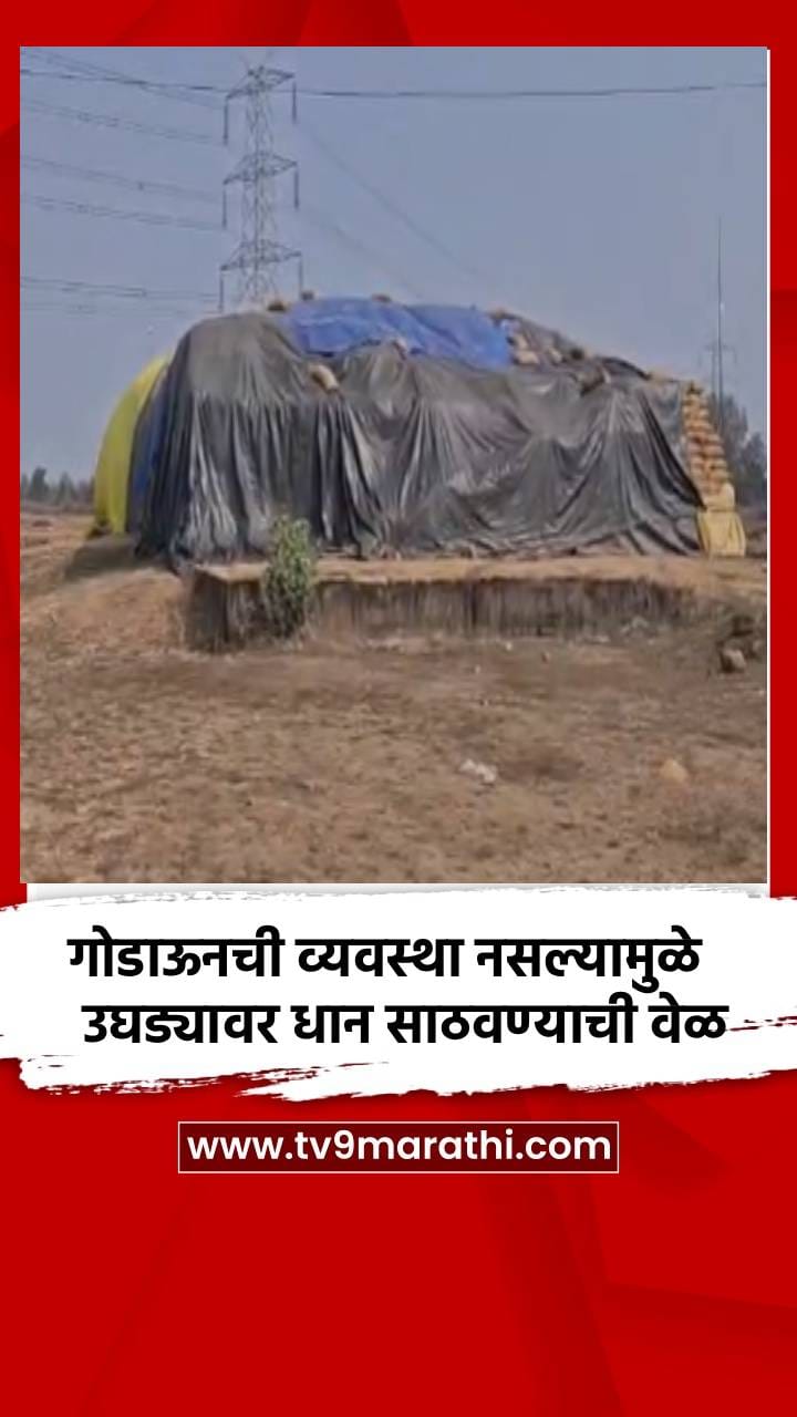 गोडाऊनची व्यवस्था नसल्यामुळे उघड्यावर धान साठवण्याची वेळ