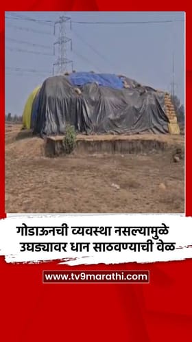 गोडाऊनची व्यवस्था नसल्यामुळे उघड्यावर धान साठवण्याची वेळ