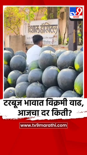 टरबूज भावात विक्रमी वाढ, आजचा दर किती?.