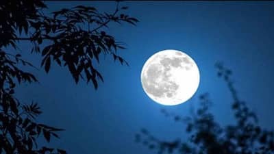 फाल्गुन पौर्णिमेच्या दिवशी कोणत्या प्रकारे स्नान करावे? आर्थिक भरभराटीसाठी पूजा कशी करावी? जाणून घ्या