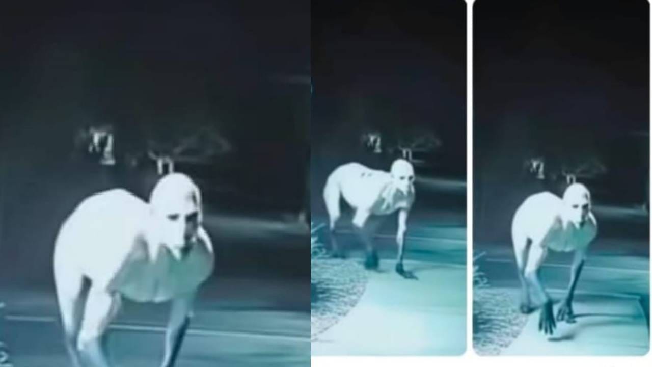 सोशल मीडियावर जे मेसेज पसरवण्यात आले त्यामध्ये असं म्हटल होतं की, गावच्या हद्दीत, मोकळ्या जागा तसेच निर्जन भागात हे भूत दिसत आहे, असा दावाही करण्यात ला. या अफवा प्रचंड पसरल्या, सगळीकडे टयाचीच चर्चा सुरू होती.  त्यामुळे ग्रामस्थांमध्ये भीतीचे वातावरण पसरले.