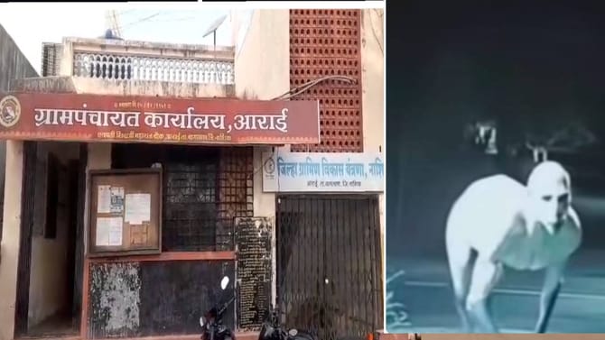 गावाच्या हद्दीत, निर्जन भागात दिसतंय भूत ? नागरिक दहशतीत