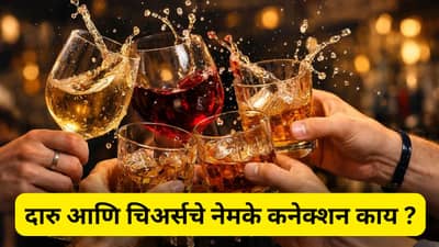 दारु पिण्याआधी चिअर्स का बोलले जाते, कशी सुरु झाली ही प्रथा ?