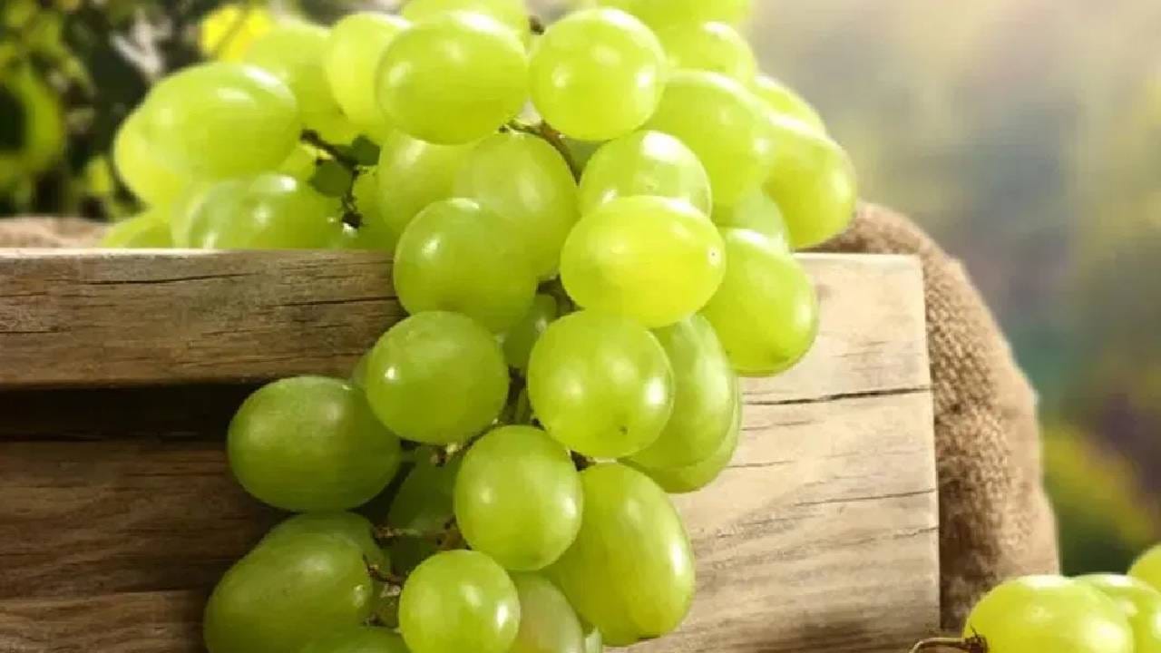 द्राक्ष फक्त पाण्याने धुवून काही होत नाही. त्याला व्यवस्थित धुवावे लागते. जर आपण असे केले नाही तर पोटाच्या असंख्य समस्या निर्माण होऊ शकतात, यामुळे द्राक्ष धुताना काळजी घ्या. 