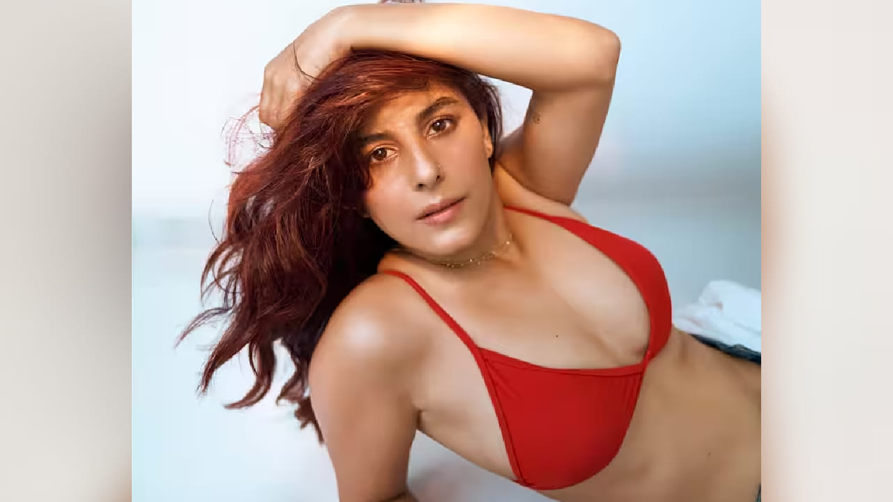 मात्र ‘मिर्झापूर’ हा ईशा तलवारचा पहिला प्रोजेक्ट नव्हता. याआधी तिने बॉलिवूडमध्ये सलमान खानच्या ‘ट्यूबलाइट’ या चित्रपटात काम केले होते. तरीही त्या चित्रपटातून तिला अपेक्षित अशी ओळख मिळू शकली नव्हती. अभिनयाची गुणवत्ता असूनही मोठा ब्रेक मिळण्यासाठी तिला काही काळ वाट पाहावी लागली.