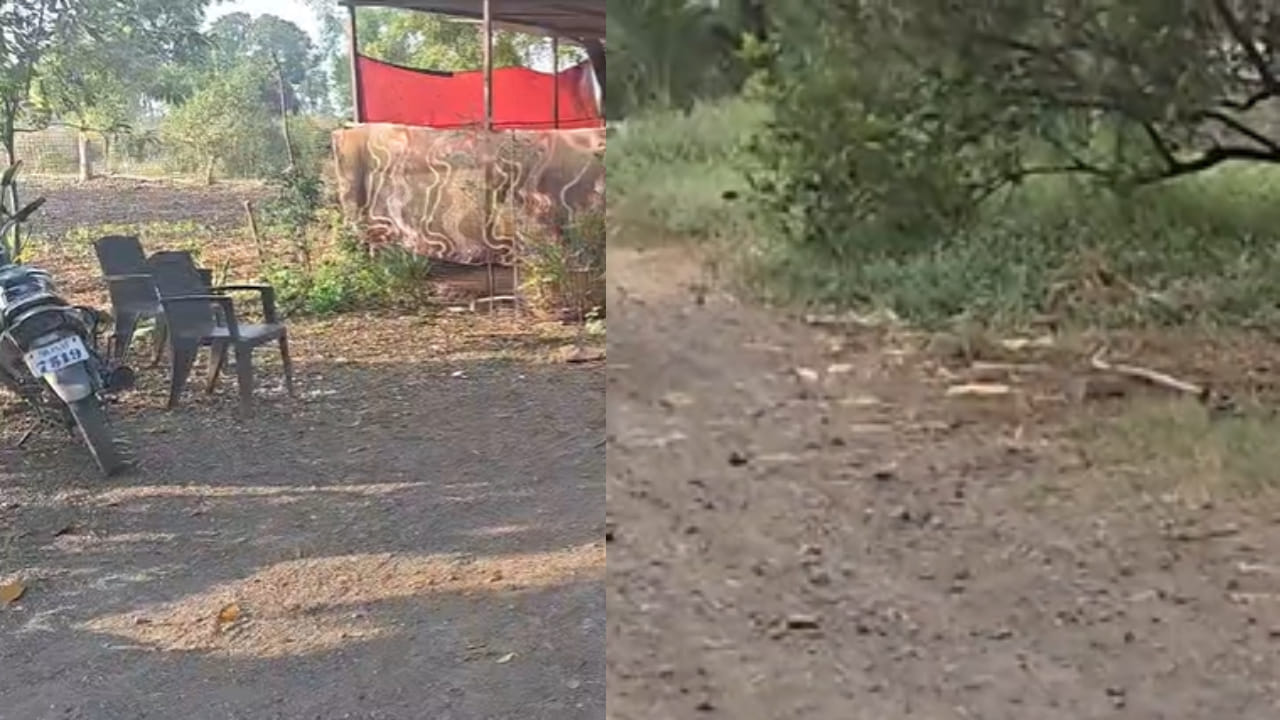 Jalgaon : आधुनिक युगात नाती केवळ माणसांपुरती मर्यादित राहिली नसून माणूस आणि प्राणी यांच्यातील भावनिक बंधही तितकेच घट्ट असतात याचं हृदयस्पर्शी उदाहरण जळगाव जिल्ह्यातील पाचोरा तालुक्यातील नगरदेवळा गावात पाहायला मिळत आहे. 