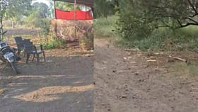 प्रेम असाव तर असं, शेतातून गायब झालेल्या लाल्याला शोधून आणणाऱ्यास 51 ह.