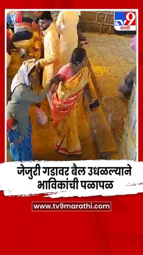 जेजुरी गडावर बैल उधळल्याने भाविकांची पळापळ, काहीजण पायऱ्यांवरून घसरून पडले.