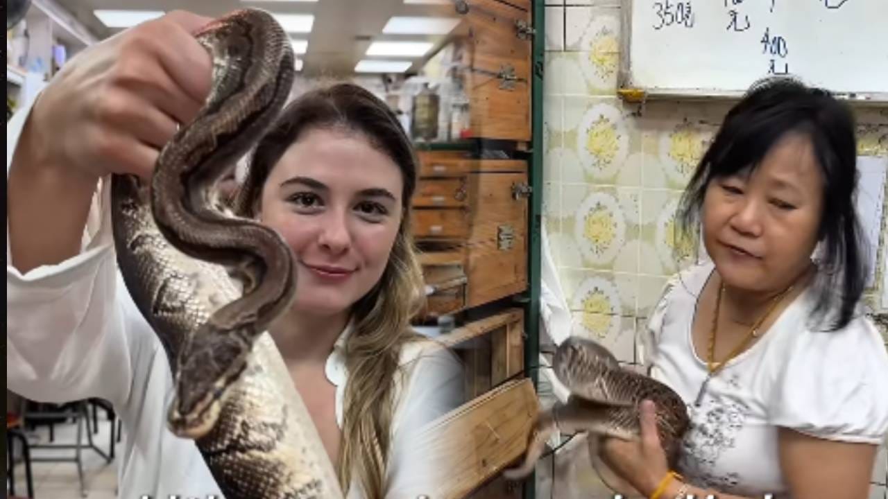 Viral Video : चिकन, मटणाप्रमाणे जिंवत किंग कोब्राला खातायत लोक, व्हिडीओ पाहून हादरून जाल! Viral Video : चिकन, मटणाप्रमाणे जिंवत किंग कोब्राला खातायत लोक, व्हिडीओ पाहून हादरून जाल!