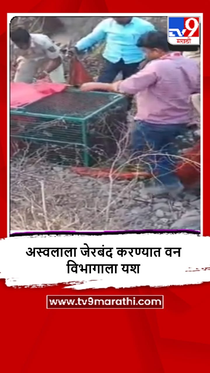 Kinvat : अस्वलाच्या हल्ल्यात शेतकऱ्याचा मृत्यू, 8 जखमी, तिघांची प्रकृती चिंताजनक