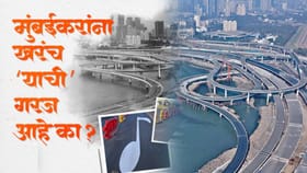 म्युझिकल रोडमुळे अमित ठाकरे संतापले, सरकारला थेट सुनावलं, म्हणाले....