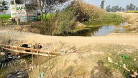 दोन भावांची रेस लागली, पळायला सुरुवात झाली अन् तेवढ्यात....