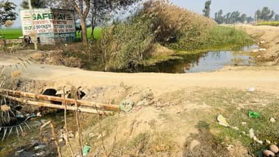 दोन भावांची रेस लागली, पळायला सुरुवात झाली अन् तेवढ्यात... शेवटच्या 10 मिनिटात जे घडलं ते वाचून अंगावर येईल काटा