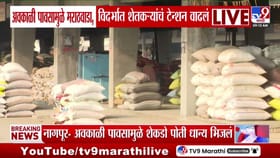 नागपुरात अवकाळी पावसाचा हाहाकार! कळमना मार्केटमध्ये धान्य भिजले.