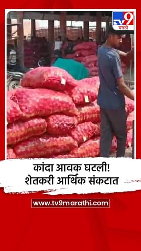कांदा आवक घटली! शेतकरी आर्थिक संकटात.