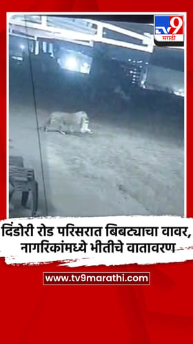 नाशिकच्या दिंडोरी रोड परिसरात बिबट्याचा वावर, नागरिकांमध्ये भीतीचे वातावरण.