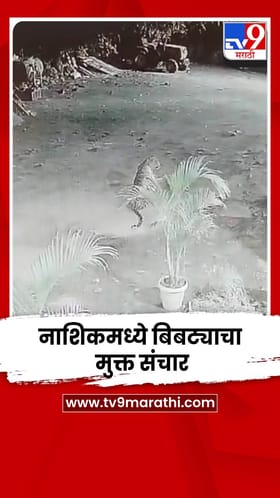 नाशिकमध्ये बिबट्याचा मुक्त संचार; घराबाहेरील सीसीटीव्हीत कैद.