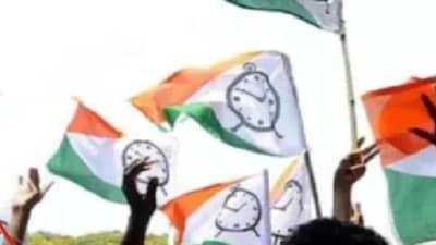 मोठी बातमी! राष्ट्रवादीच्या राष्ट्रीय अध्यक्षांच्या निवडीची तारीख ठरली, कोण होणार नवा अध्यक्ष? सर्वात मोठी बातमी समोर