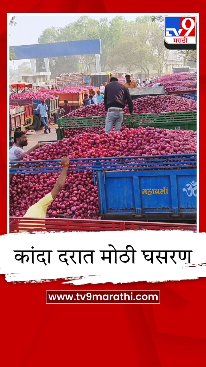 लासलगावमध्ये कांद्याचे दर कोसळले; महिन्याभरात शेतकऱ्यांचे 240 कोटींचे नुकसान