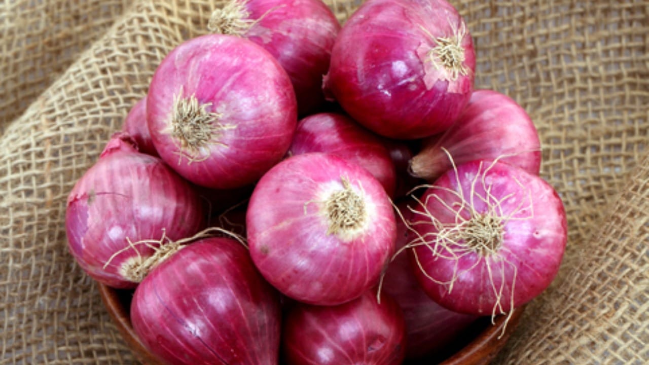 जे रुग्ण रक्त पातळ करण्याची औषधे घेत आहेत, त्यांनी कांद्याचे अतिसेवन टाळावे. कांद्यामुळे औषधांच्या परिणामात अडथळा निर्माण होऊन जखम झाल्यास रक्त गोठण्यास उशीर होऊ शकतो.